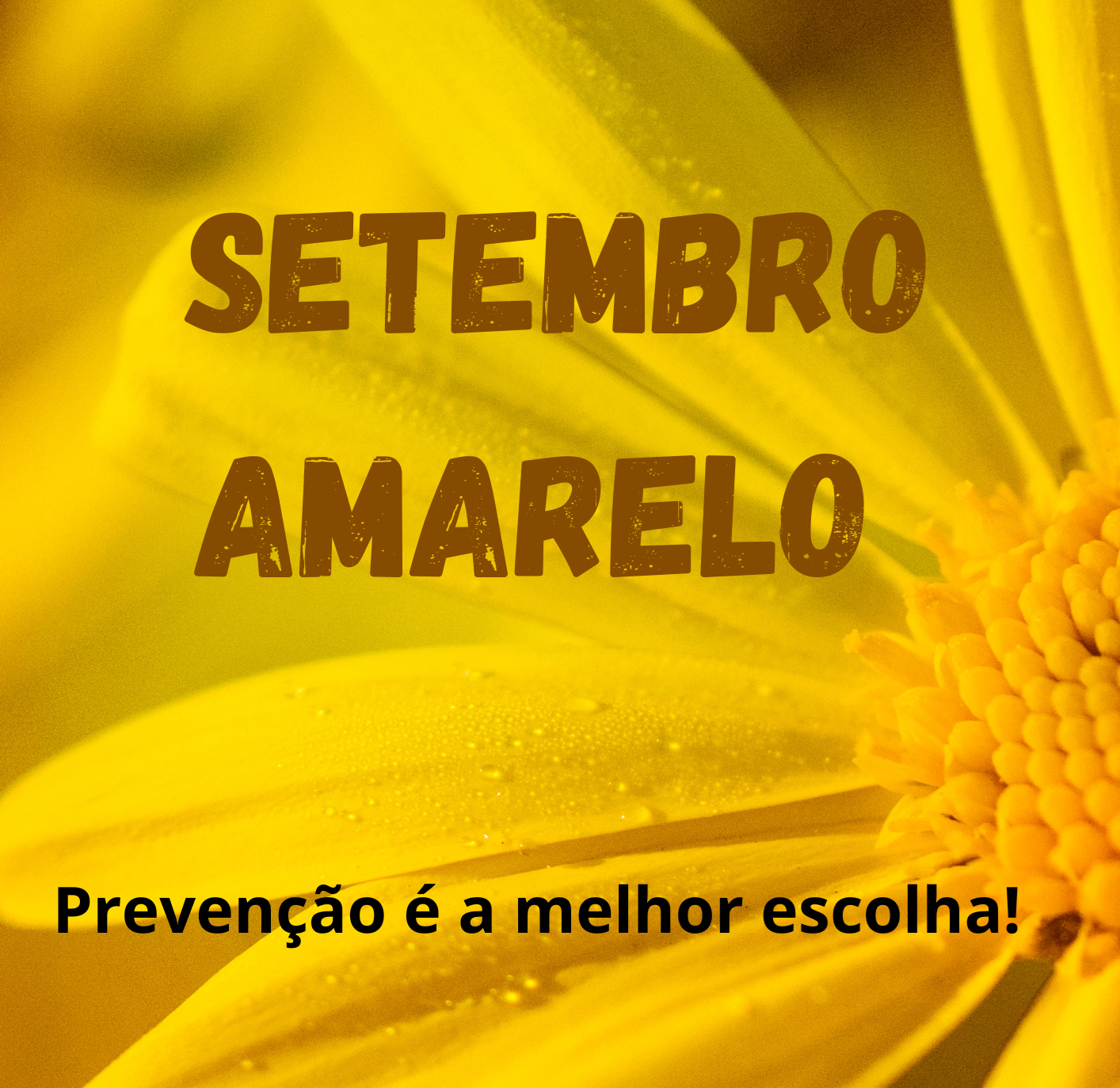 Palestra Setembro Amarelo 